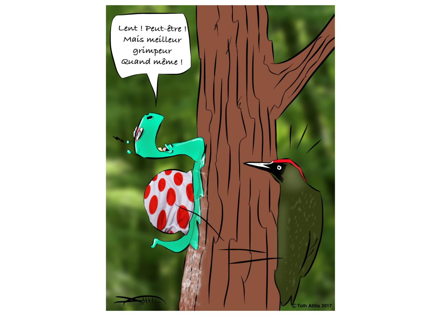 Meilleur grimpeur